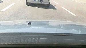 Bagajda Ölümüne Yolculuk