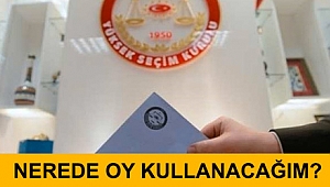 Referandumda nerede oy kullanacağım? (YSK ve E-Devlet sandık sorgulama işlemi)