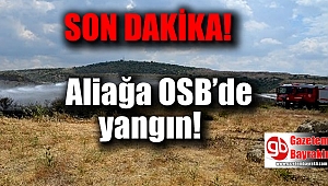 Aliağa OSB’de otluk alanda yangın