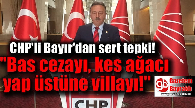 CHP'den zeytin tasarısına tepki: Bas cezayı kes ağacı