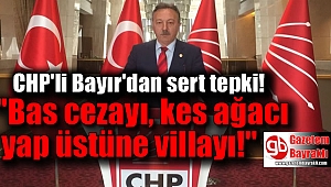 CHP'den zeytin tasarısına tepki: Bas cezayı kes ağacı