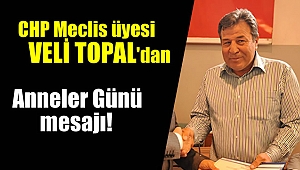 CHP Meclis üyesi Veli Topal'dan Anneler günü mesajı