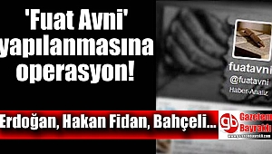 'Fuat Avni' yapılanmasına operasyon