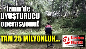 İzmir'de dev uyuşturucu operasyonu
