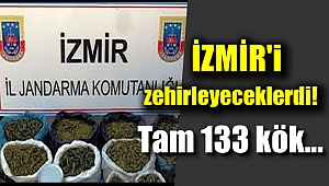İzmir'de zehir tacirlerine operasyon