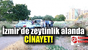 İzmir'de zeytinlik alanda erkek cesedi bulundu