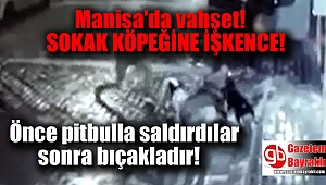 Manisa'da sokak köpeğine işkence