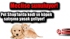 Pet shop’larda kedi ve köpek satışına yasak geliyor