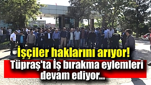 Petrol-iş Sendikasına bağlı Tüpraş'ta grev devam ediyor