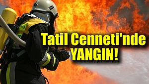 Turizm merkezindeki çöplükte büyük yangın