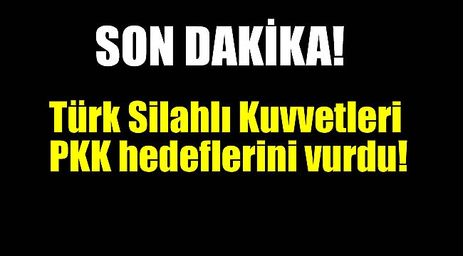 Türk Silahlı Kuvvetleri yine vurdu