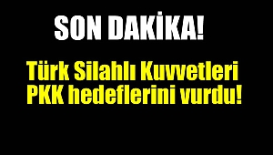 Türk Silahlı Kuvvetleri yine vurdu