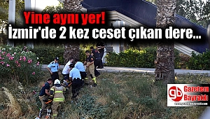 Bu dere de neler oluyor