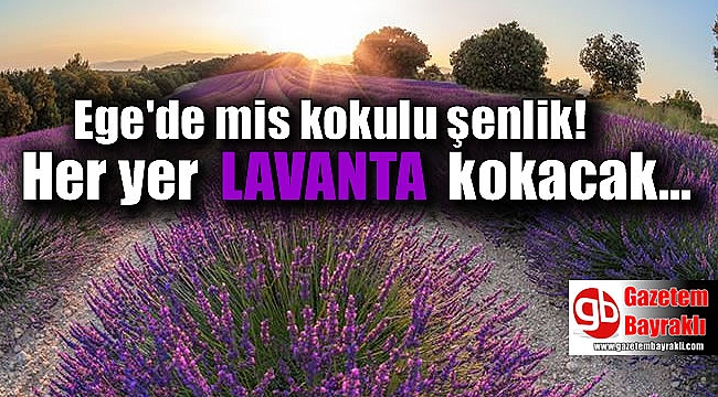 Ege'de mis kokulu şenlik