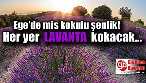 Ege'de mis kokulu şenlik