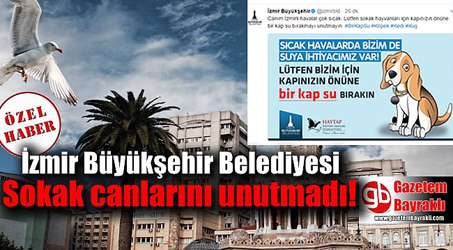 İzmir Büyükşehir Belediyesi sokak hayvanlarını unutmadı