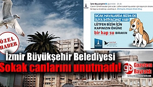 İzmir Büyükşehir Belediyesi sokak hayvanlarını unutmadı