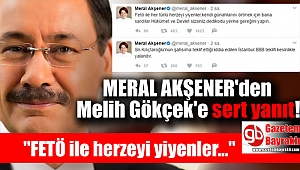 Meral Akşener'den Melih Gökçek'in iddiasına yanıt