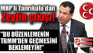 MHP'li Tanrıkulu'dan Zeytin çıkışı