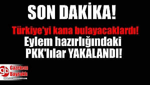 Türkiye'ye bombalı eylem için gelen PKK'lılar yakalandı