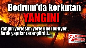 Bodrum’da yangın yerleşim alanlarına doğru ilerliyor