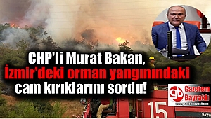 CHP'li Bakan ormandaki cam kırıklarını sordu