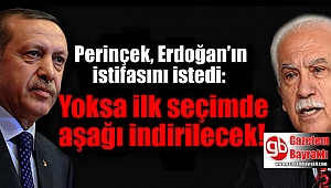 Erdoğan'ın istifasını isteyen Perinçek: Yoksa ilk seçimde aşağı indirilecektir