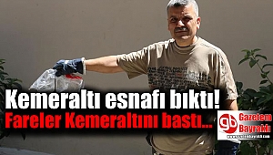 Fareler Kemeraltı esnafını bıktırdı