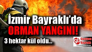 İzmir Bayraklı'da orman yangını