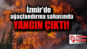 İzmir'de ağaçlandırma sahasında yangın çıktı