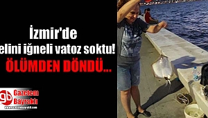 İzmir'de elini iğneli vatoz soktu, ölümden döndü
