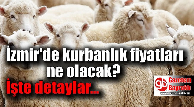 İzmir'de kurbanlık fiyatları ne olacak
