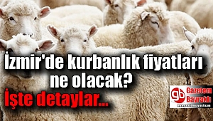 İzmir'de kurbanlık fiyatları ne olacak