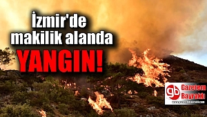 İzmir’de makilik alanda yangın paniği