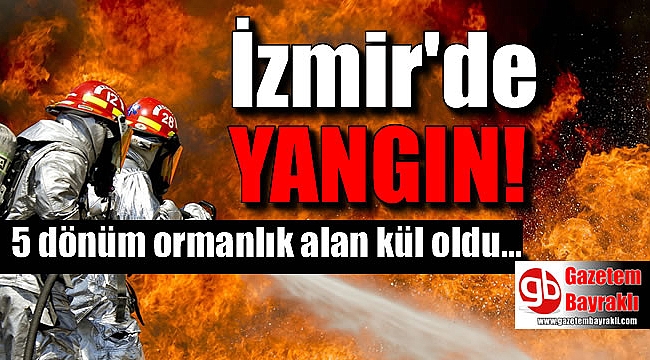 İzmir'de yangın