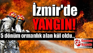 İzmir'de yangın