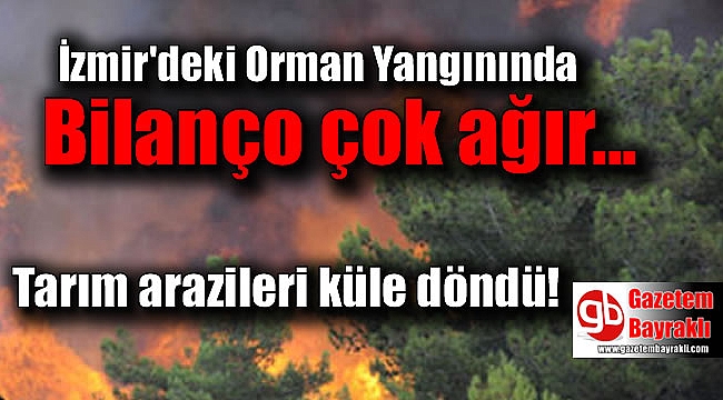 İzmir'deki Orman Yangınında bilanço çok ağır