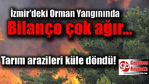 İzmir'deki Orman Yangınında bilanço çok ağır