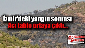 İzmir'deki yangın sonrası: Acı tablo ortaya çıktı