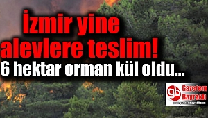 İzmir’deki yangında 6 hektar orman kül oldu