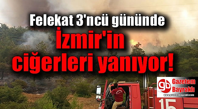 İzmir'in ciğerleri yanıyor