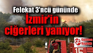 İzmir'in ciğerleri yanıyor