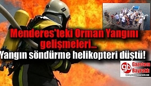 Menderes'teki Orman Yangını