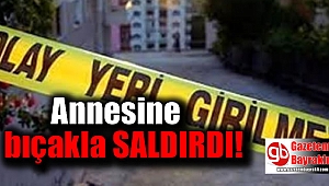 Annesine bıçakla saldırdı