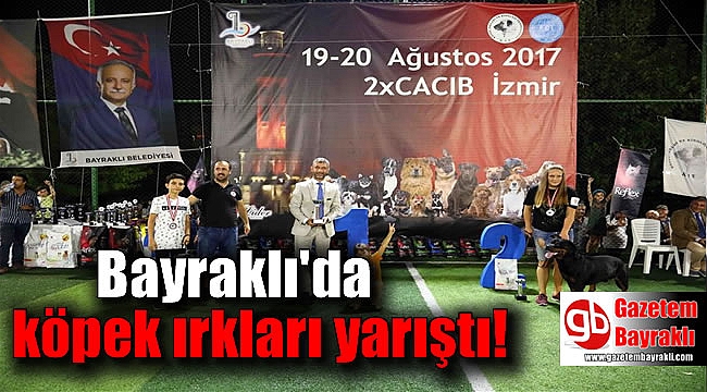 Bayraklı'da köpek ırkları yarıştı