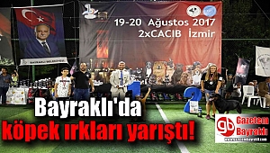 Bayraklı'da köpek ırkları yarıştı