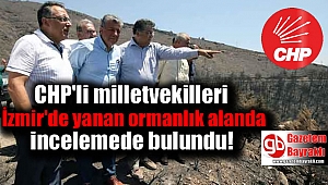 CHP'li vekiller İzmir'de yanan alanda incelemelerde bulundu