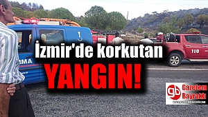 Dikili'de yangın