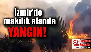 İzmir’de makilik alanda yangın