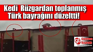 Kedi, Türk Bayrağı’nı işte böyle düzeltti